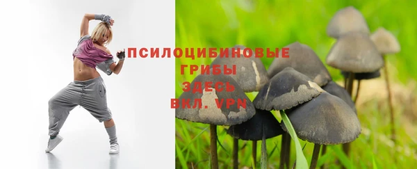 ALPHA PVP Алзамай