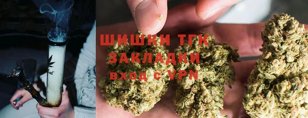 молекула духа Слюдянка