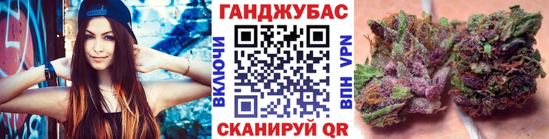 Шишки марихуана план  где найти   Холм 